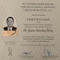 Ampliar imagen: certificate 1