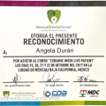 Ampliar imagen: certificate 9