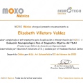 Ampliar imagen: certificate 13