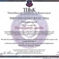 Ampliar imagen: certificate 6