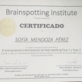 Ampliar imagen: certificate 5