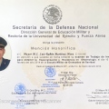 Ampliar imagen: certificate 6