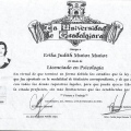 Ampliar imagen: certificate 7