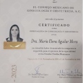 Ampliar imagen: certificate 1
