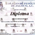 Ampliar imagen: certificate 16