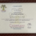 Ampliar imagen: certificate 3