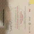 Ampliar imagen: certificate 12
