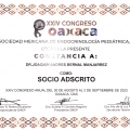 Ampliar imagen: certificate 4