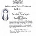 Ampliar imagen: certificate 3