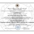 Ampliar imagen: certificate 7