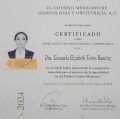 Ampliar imagen: certificate 6