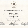 Ampliar imagen: certificate 4