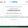 Ampliar imagen: certificate 5