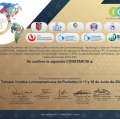 Ampliar imagen: certificate 4