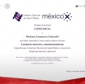Ampliar imagen: certificate 4