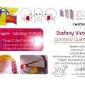 Ampliar imagen: certificate 5