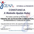 Ampliar imagen: certificate 8