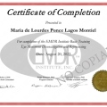 Ampliar imagen: certificate 2