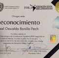 Ampliar imagen: certificate 4