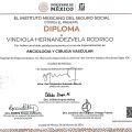 Ampliar imagen: certificate 4