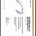 Ampliar imagen: certificate 4