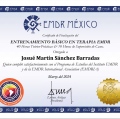 Ampliar imagen: certificate 2