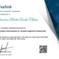 Ampliar imagen: certificate 20