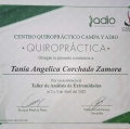 Ampliar imagen: certificate 4