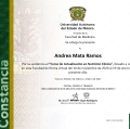 Ampliar imagen: certificate 7