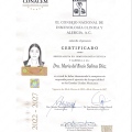 Ampliar imagen: certificate 2