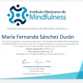Ampliar imagen: certificate 2