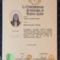 Ampliar imagen: certificate 17
