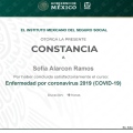Ampliar imagen: certificate 3