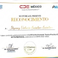 Ampliar imagen: certificate 2