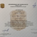 Ampliar imagen: certificate 12