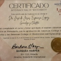 Ampliar imagen: certificate 4