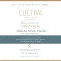 Ampliar imagen: certificate 3