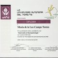 Ampliar imagen: certificate 3