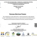 Ampliar imagen: certificate 4