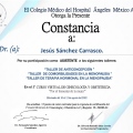 Ampliar imagen: certificate 19