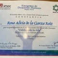 Ampliar imagen: certificate 7