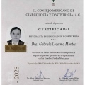 Ampliar imagen: certificate 1