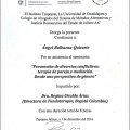 Ampliar imagen: certificate 17