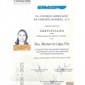 Ampliar imagen: certificate 2