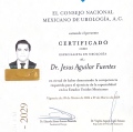 Ampliar imagen: certificate 3