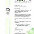 Ampliar imagen: certificate 6