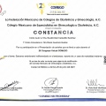 Ampliar imagen: certificate 10