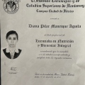 Ampliar imagen: certificate 4