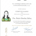 Ampliar imagen: certificate 4