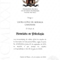 Ampliar imagen: certificate 19